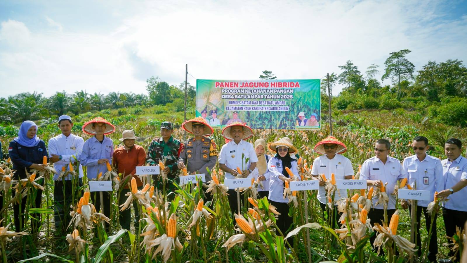 Bupati Sarolangun Hadiri Penanaman Jagung Hibrida di Desa Batu Ampar